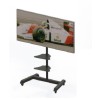 Pedestal para pantalla con giro 40-60 pulgadas Pedestal para pantalla con giro 40-60 pulgadasantalla con giro de 360 grados pantallas desde 40 a 60 pulgadasEl pedestal cuenta con estructura en acero reforzado, una altitud de 1.60m, movilidad de 360 grados de giro lado a lado, soporta pantallas desde 40 pulgadas a 60 pulgadas, cuenta con una o dos repisas a elegir, cuatro rued..